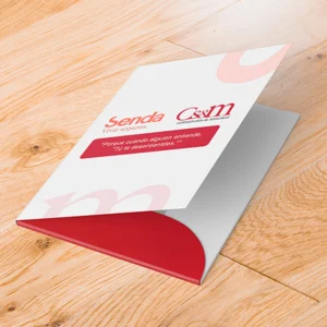 CARPETAS PUBLICITARIAS